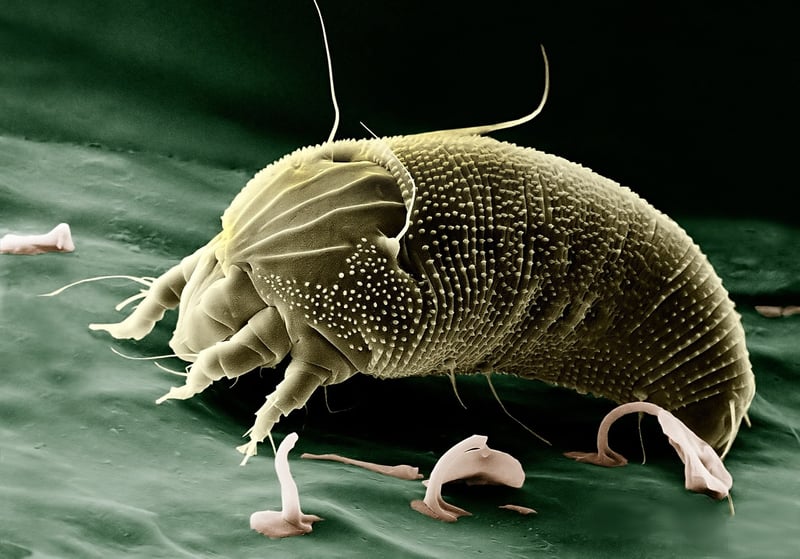 Biotechnology Innovations
